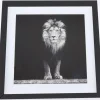 Aslan taulu, 50x50 cm