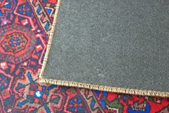 Cleopatra matto, eri kokoja