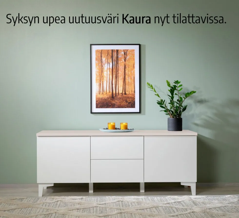 Hiipakka Anton 100cm lipasto, ovi+3 laatikkoa