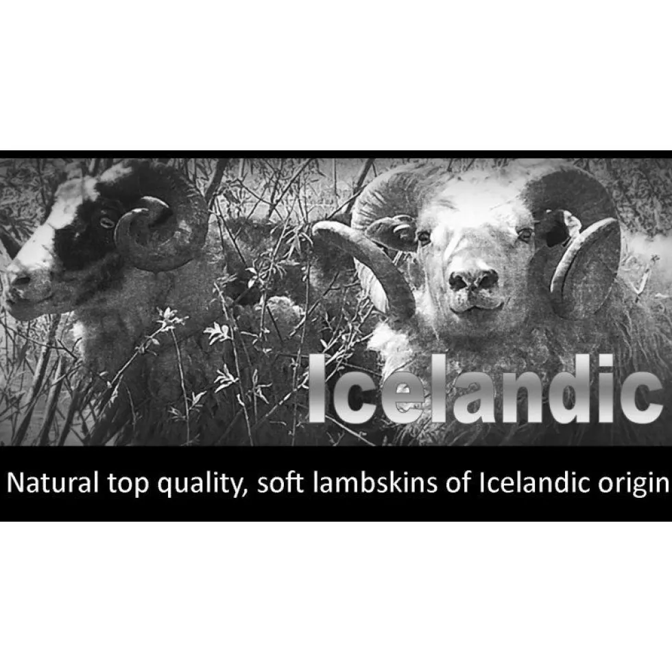 Lampaantalja istuinpehmuste, Silver 37 Icelandic