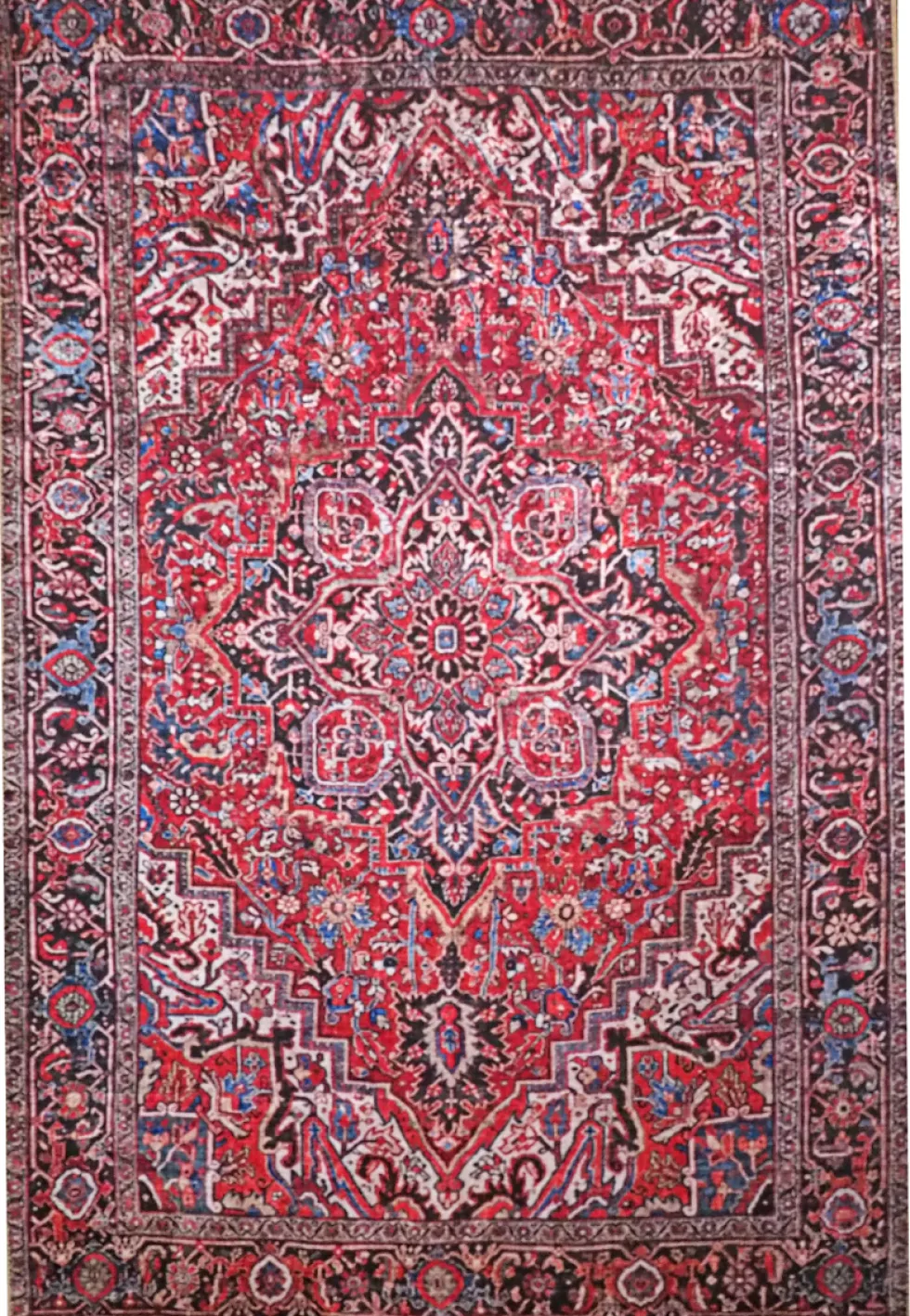 Nefertiti matto, eri kokoja